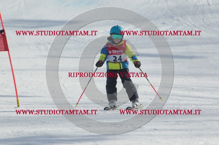 MAT_2904.JPG