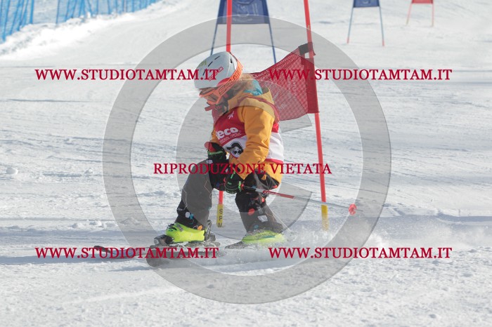 MAT_2912.JPG