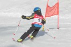 MAT_2779
