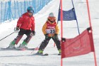 MAT_2909