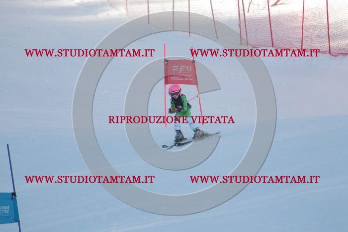 MAT_7648.JPG