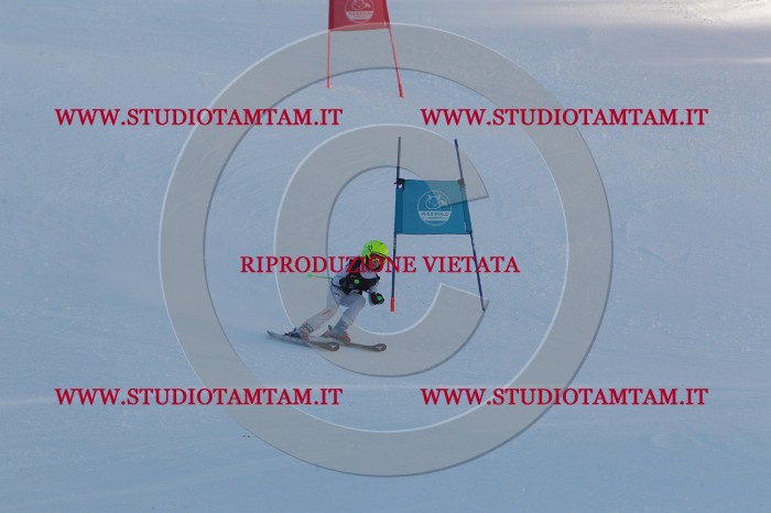 MAT_7690.JPG