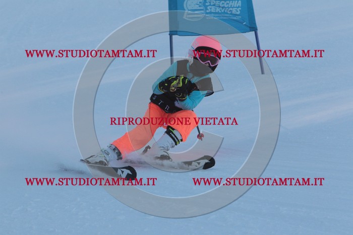 MAT_7705.JPG