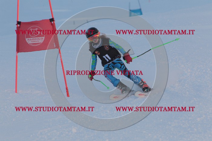 MAT_7718.JPG