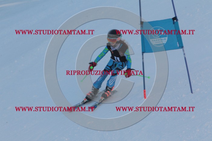 MAT_7720.JPG