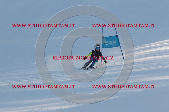 MAT_7737.JPG