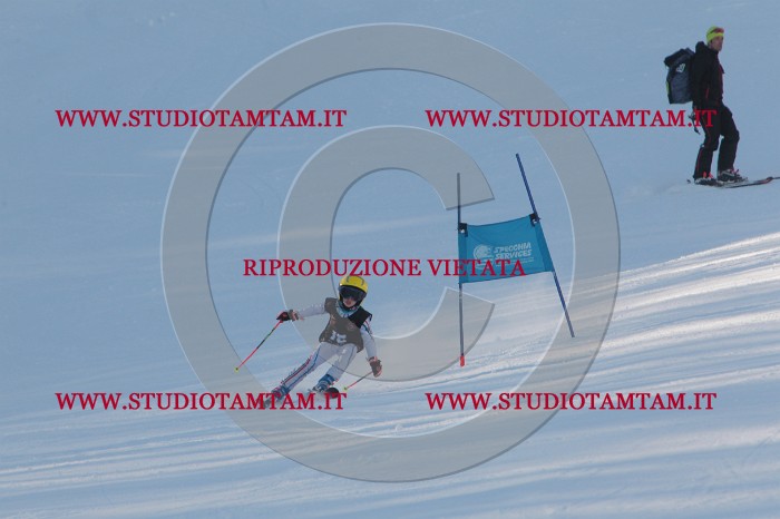MAT_7746.JPG