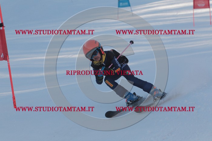 MAT_7759.JPG