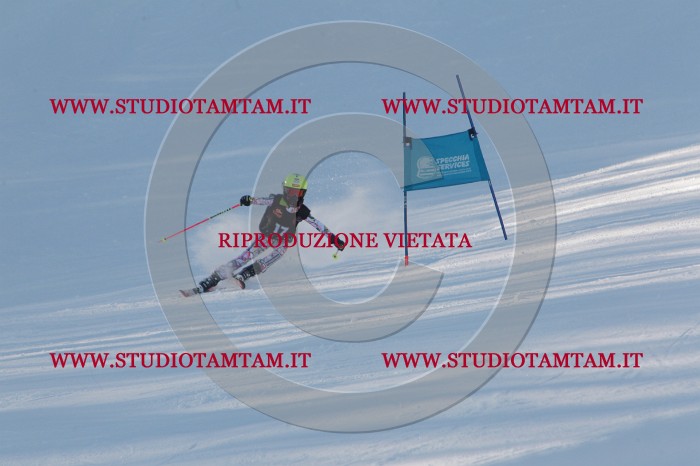 MAT_7764.JPG