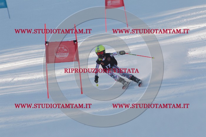 MAT_7767.JPG
