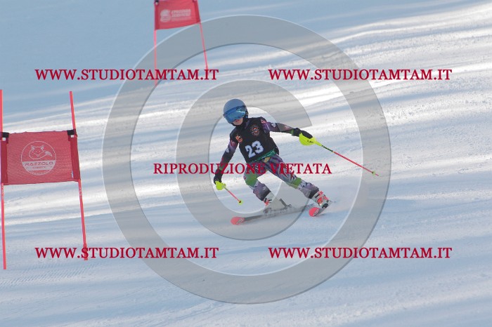 MAT_7848.JPG