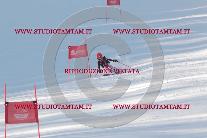 MAT_7872.JPG