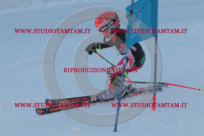 MAT_7884.JPG