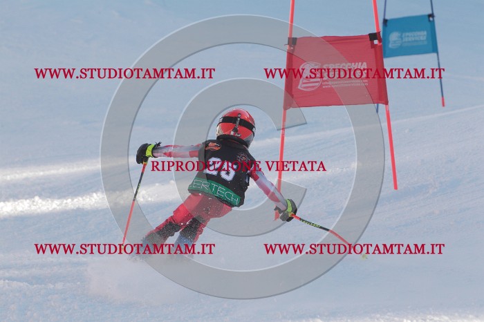 MAT_7885.JPG