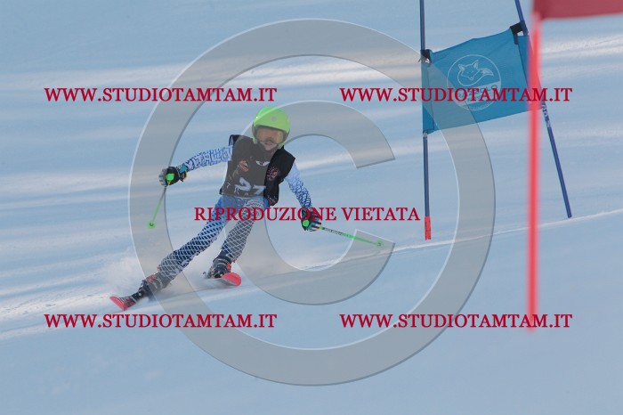 MAT_7908.JPG