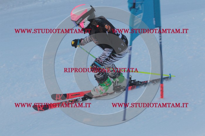 MAT_7954.JPG
