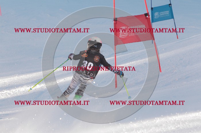 MAT_7956.JPG