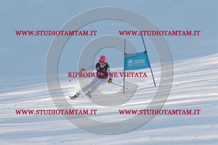 MAT_7972.JPG
