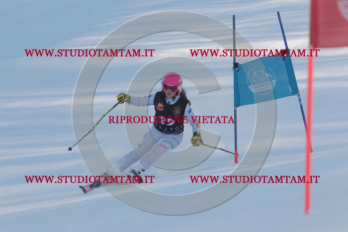 MAT_7977.JPG