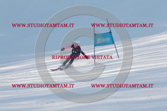 MAT_8001.JPG