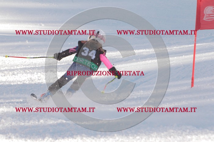 MAT_8013.JPG