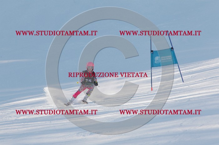 MAT_8019.JPG
