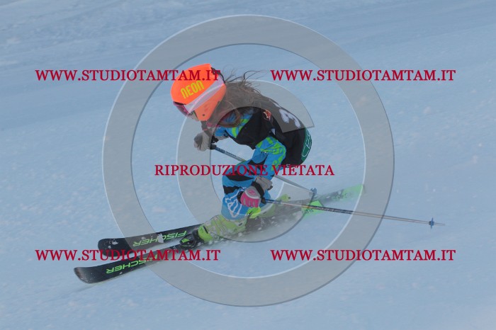 MAT_8055.JPG