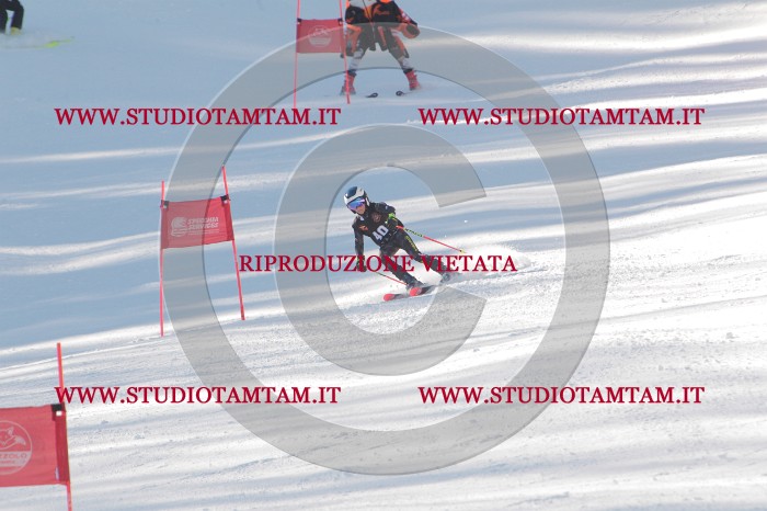 MAT_8089.JPG