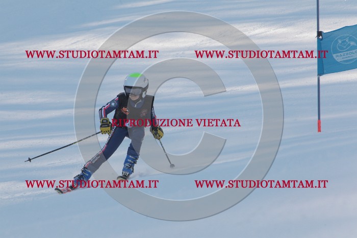 MAT_8113.JPG
