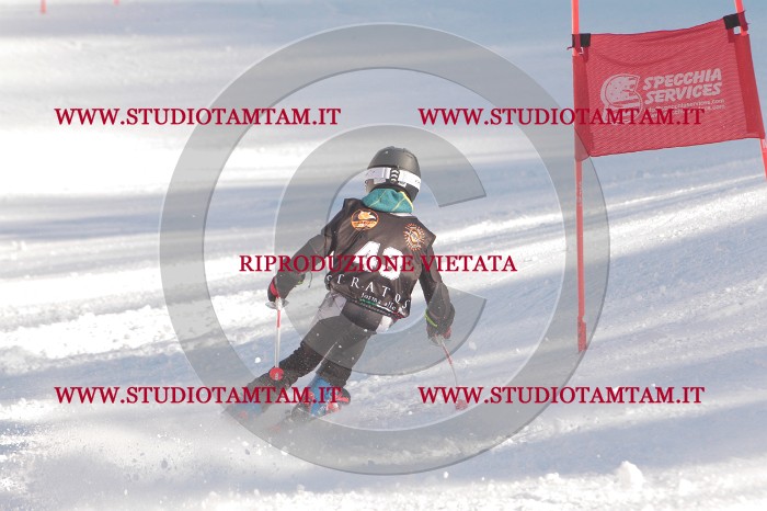 MAT_8137.JPG