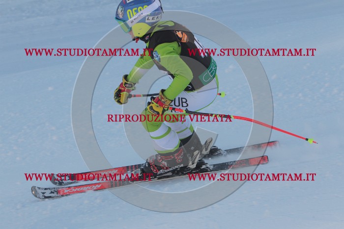 MAT_8186.JPG
