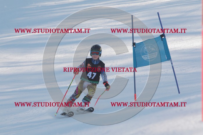 MAT_8196.JPG