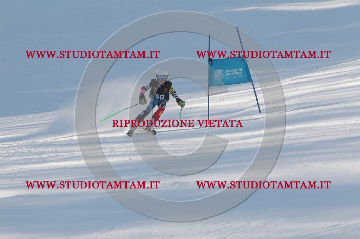 MAT_8222.JPG