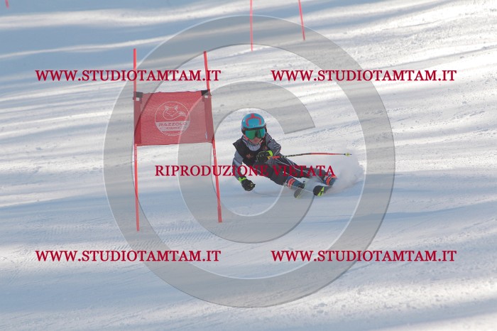 MAT_8237.JPG