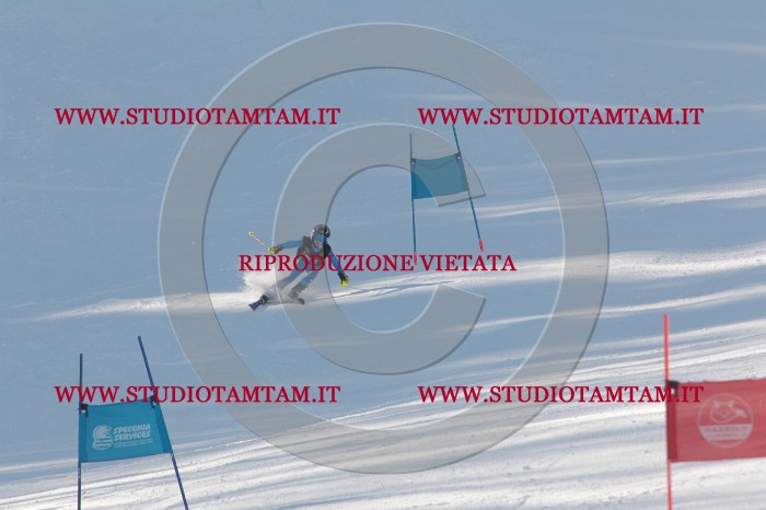 MAT_8248.JPG