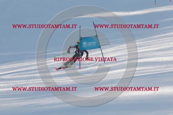 MAT_8264.JPG