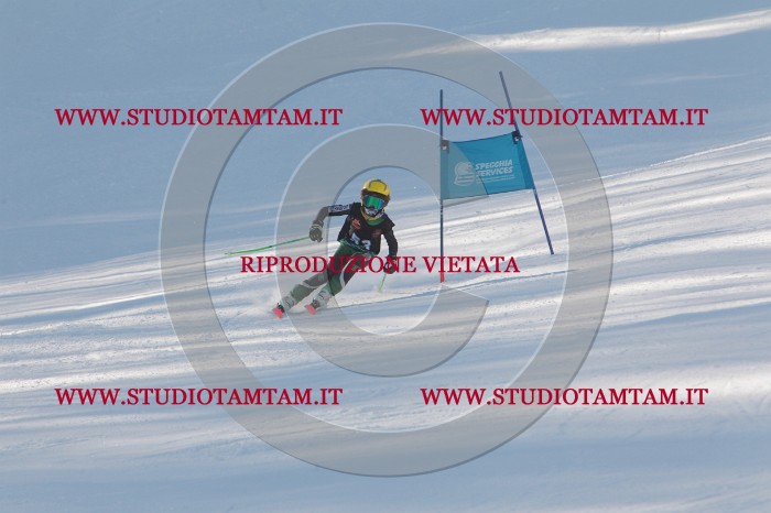 MAT_8265.JPG
