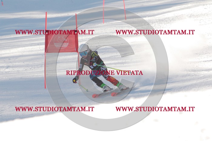 MAT_8308.JPG
