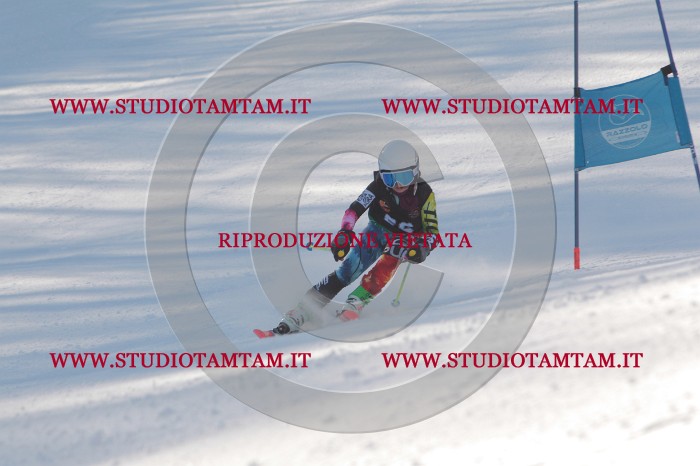 MAT_8310.JPG