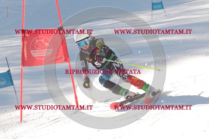 MAT_8312.JPG