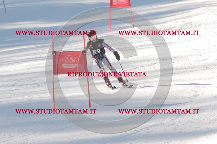 MAT_8330.JPG