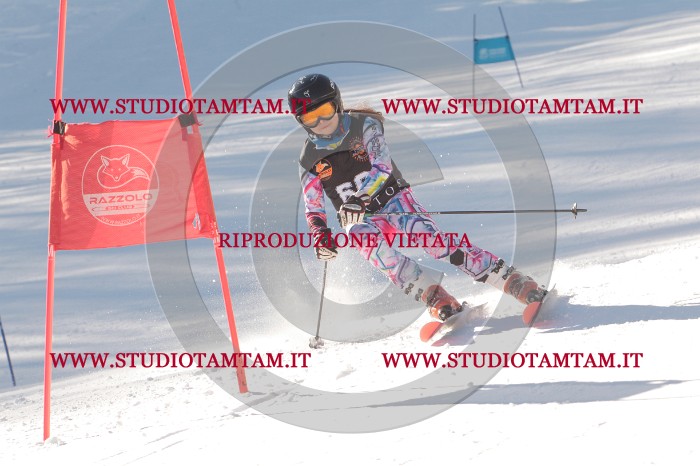 MAT_8352.JPG