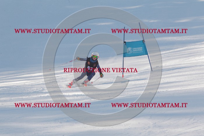 MAT_8389.JPG