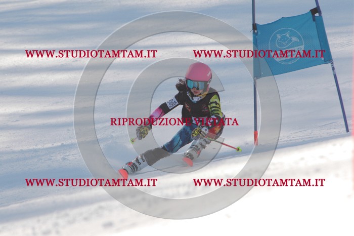 MAT_8450.JPG