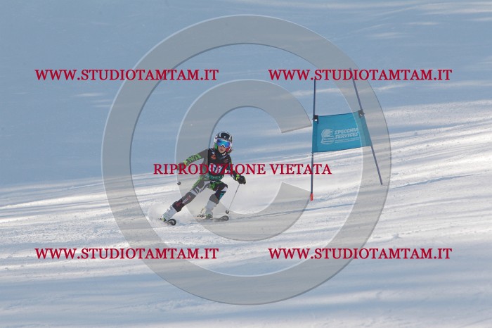 MAT_8458.JPG