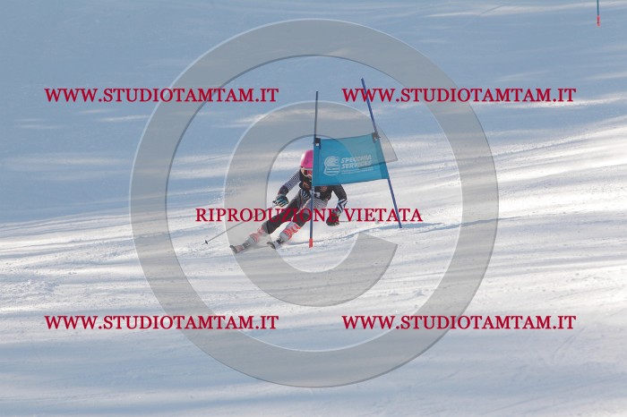 MAT_8506.JPG