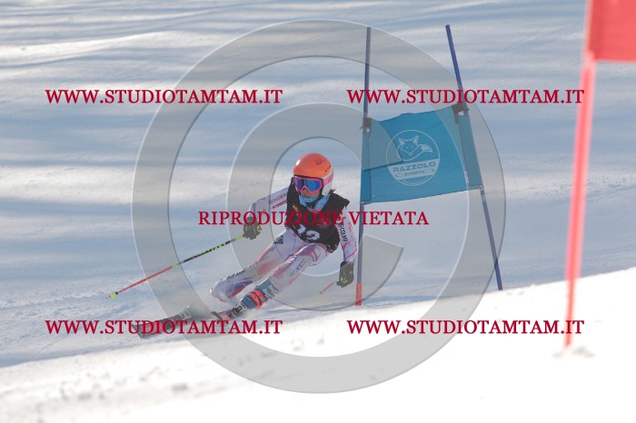 MAT_8524.JPG
