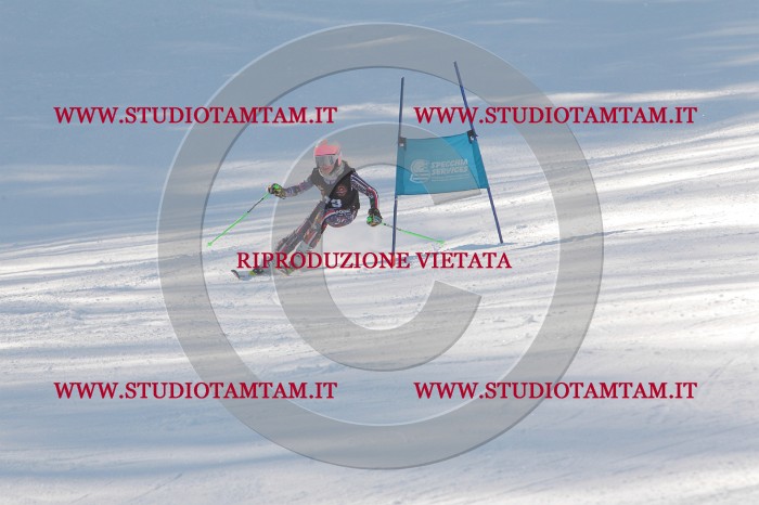MAT_8533.JPG