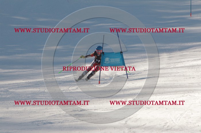 MAT_8596.JPG
