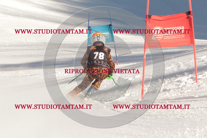 MAT_8621.JPG